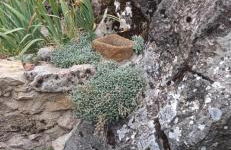 Casa Manuel y Ana María. - Foto 53