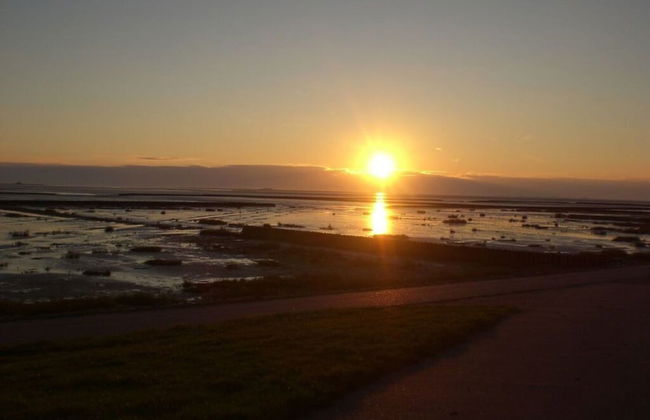Holiday Apartment Oystercatcher - Photo 19