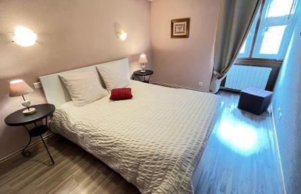 Gite Edelweiss à Eguisheim - Foto 35