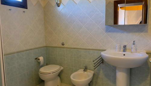 Little sparrow - Foto 3