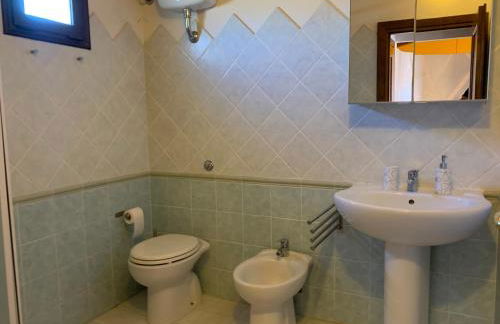 Little sparrow - Foto 3