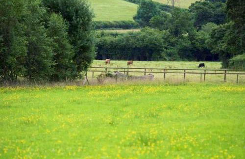 Beaston Cottage - Foto 18