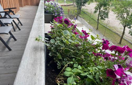 SchartnerAlm - Foto 59