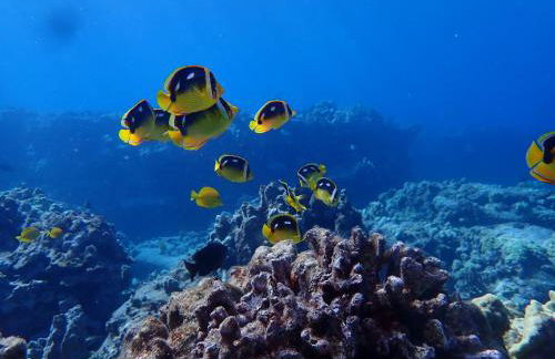 Beach Villas Kahaluu on Kona Coast - Foto 54