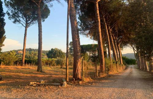 Todi Villa San Martino - Foto 56