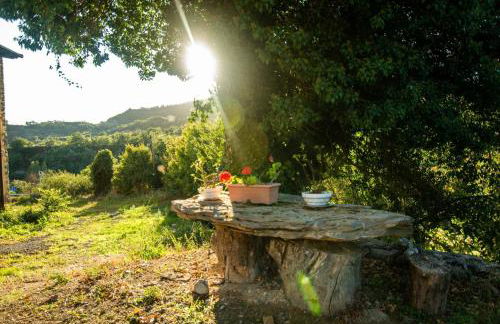 Casa rural Graeras en Castigaleu - Foto 60