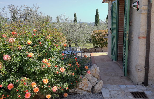 Agriturismo Borghetto Il Montino - Foto 36