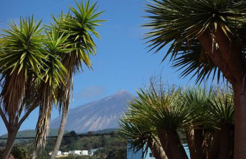 Finca Las Canitas - Ferienhaus Teneriffa - Foto 22