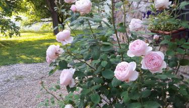 Casa Vacanze Le Corone - Foto 5