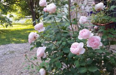 Casa Vacanze Le Corone - Foto 5