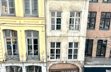 LILLEHOSTS 2, Vieux Lille, Newly renovated, Modern & Stylish apartment, perfectly located - Foto 22