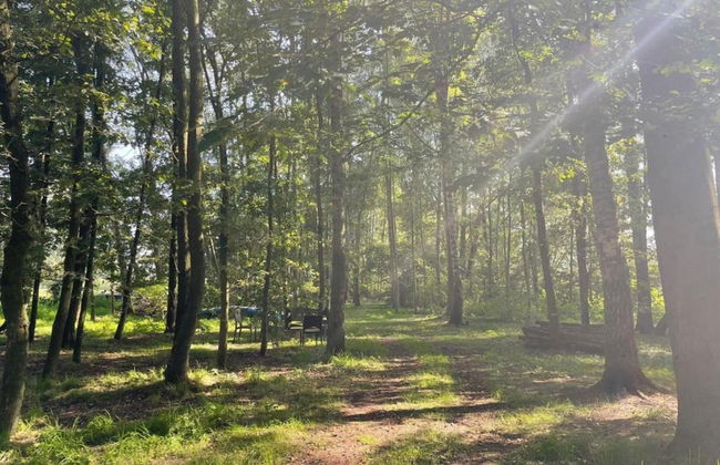 Getaway With Covered Veranda - Photo 28