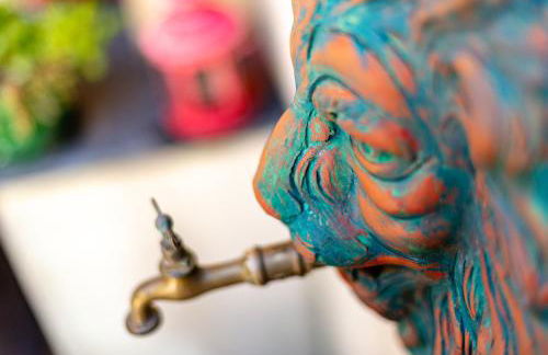 Stella d'Argento - Photo 49