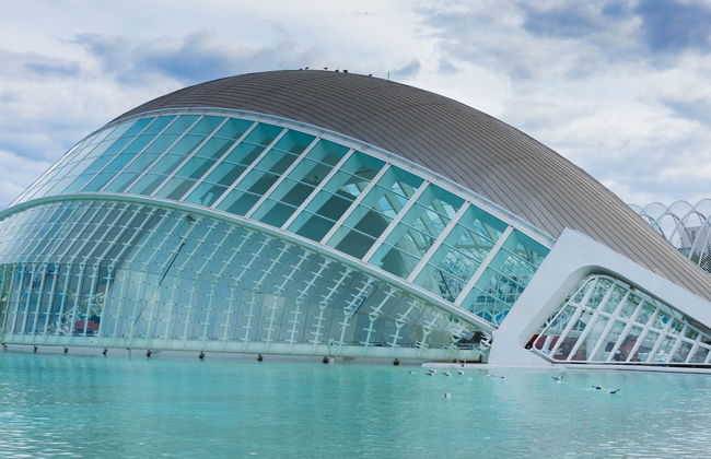 Excursión a Valencia + Oceanogràfic y Hemisfèric - Foto 1