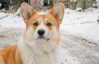 Domek Pierwiosnek Ustroń - cisza, las, balia i totalny relaks - Ucieknij od zgiełku i poczuj spokój natury - Photo 38