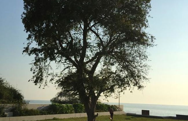 Baan Thew Talay Blue Sapphire - Foto 28