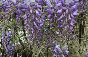 Le Petit Pont - Foto 31