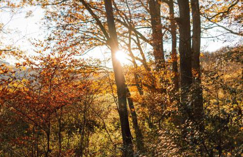 Beautiful Holidayhome With Sauna and Terrace - Foto 38