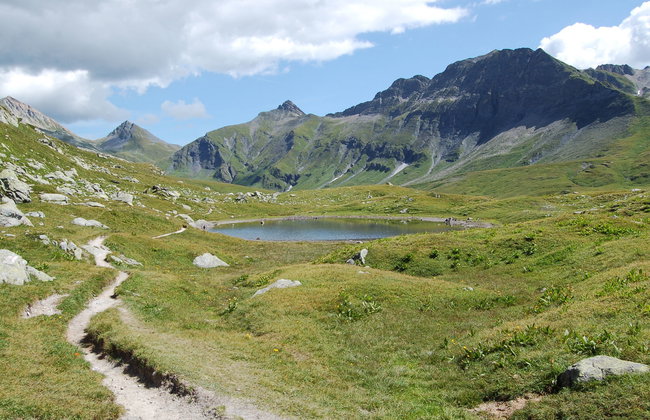 Rustico Stübii - Foto 30