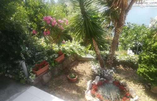 Apartmani Ivić Paka Rab - Photo 7