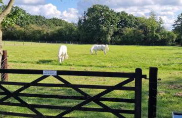 The Old Workhouse Paddocks - Foto 41