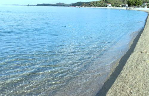 TORONI ALPHA STUDIOS - Foto 78