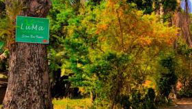 LUMA - Casa de Hospedaria - Foto 2