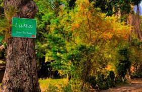 LUMA - Casa de Hospedaria - Foto 2