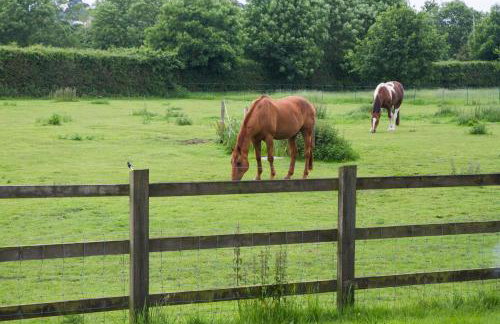 Great Barn - Foto 24