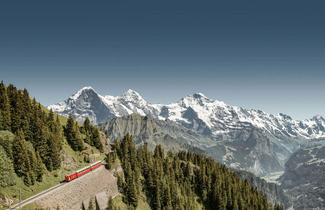 Train historique pour Schynige Platte - Photo 8