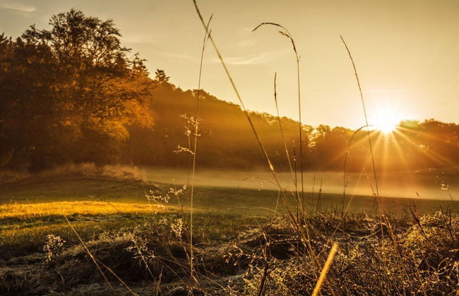 Attractive Apartment in Diemelsee - Photo 17