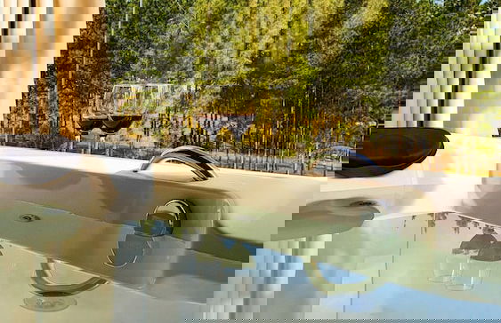 Pouso do Corvo - Grão-Pará - SC - Photo 26