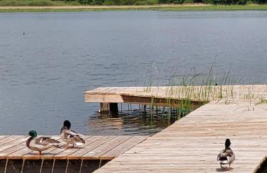 Domki Lawendowy Zakątek - Foto 49