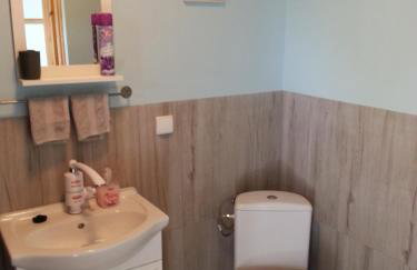 Cztery Pory Warmii Pluski pokoje do wynajęcia - Foto 73