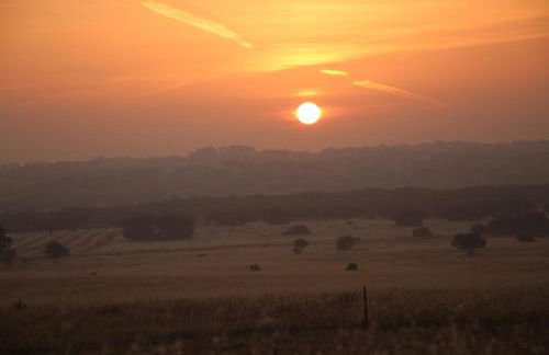 Monte Da Azarujinha - Foto 11