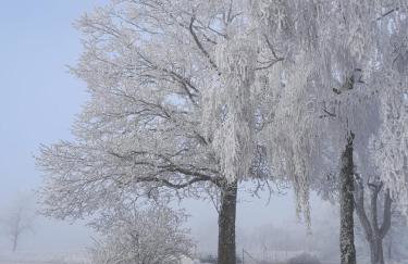 Fewo Waldtherme Relaxen, wandern, Radfahren - Foto 46