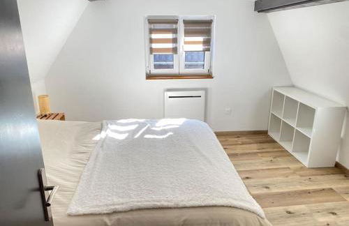 Maison Alsacienne & Moderne en Hypercentre - Foto 16