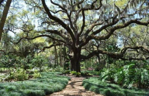 Retreat at Hammock Dunes Beach, Palm Coast - Foto 51