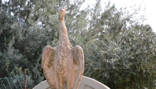 Villa Tiberio - Foto 5