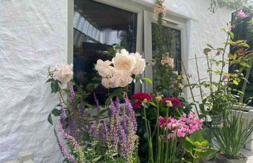 Luxury Cottage in Tregarth, Bethesda, Snowdonia - Photo 29