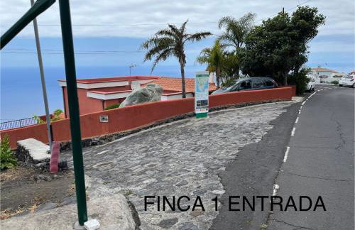 Finca La Calzada - Foto 10