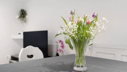 Hochwertige Ferienwohnung Ötigheim - Foto 3