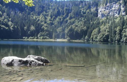 Haus Aretz - Foto 30