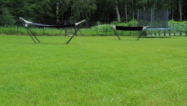 Leśne Zacisze w Nadolu - Foto 3, Garden