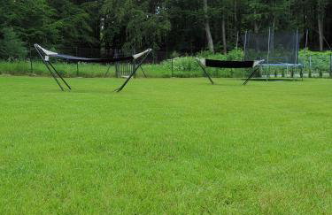 Leśne Zacisze w Nadolu - Foto 3