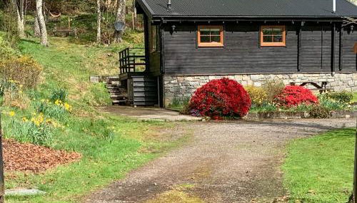 Squirrel View - Foto 3