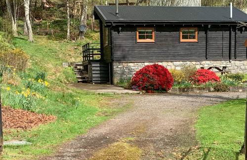 Squirrel View - Foto 3