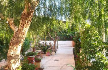 Marigianna - Foto 21