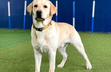 Tropical Garden Home - Cozy Ground Floor Stay - Foto 15