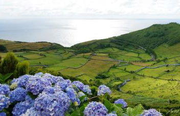 Casa do Avô Silva - Foto 32